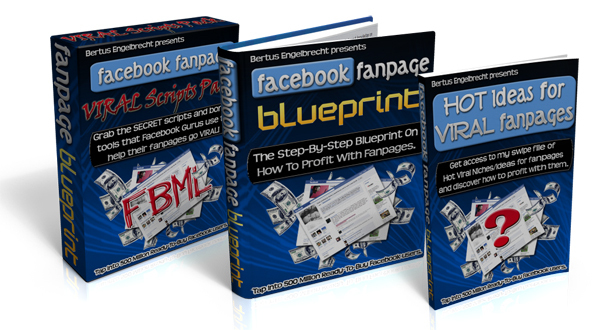 Product picture Facebook Fanpage Blueprint PLR