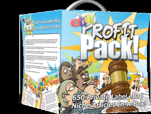 Product picture eBay Profit Pack PLR
