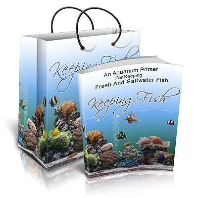 Product picture Keeping Fish (PLR)