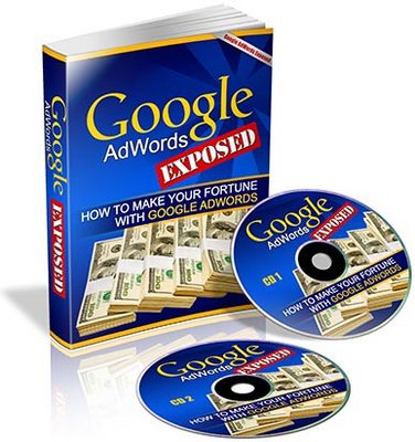 Product picture Google AdWords Exposed - Audio Interview (PLR)