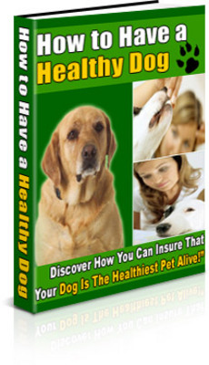 Product picture How to Have a Healthy Dog (PLR)