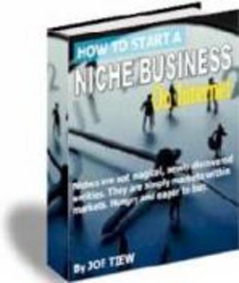 Product picture How to Start a Niche Business plr