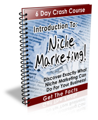 Product picture Introduction to Niche Marketing - eCourse (PLR)