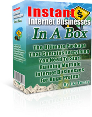 Product picture Interent Business in a Box (PLR)