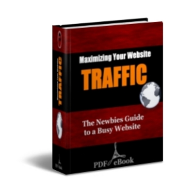 Product picture Maximizing Your Website Traffic (PLR)