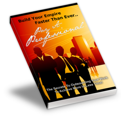 Product picture Pay a Professional - Video Series PLR