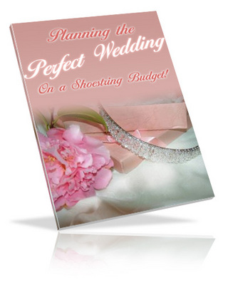 Product picture Planning Perfect Wedding...(PLR)