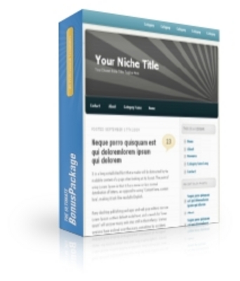 Product picture PLR Bonus Package WP Themes (PLR)