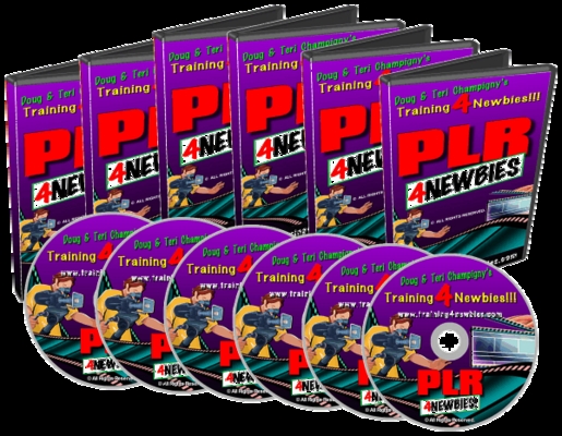 Product picture PLR for Newbies Video Training plr