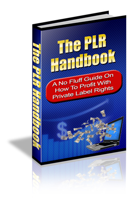 Product picture PLR Handbook 