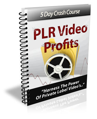 Product picture PLR Video Profits - eCourse (PLR)