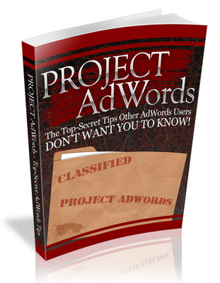 Product picture Project AdWords PLR