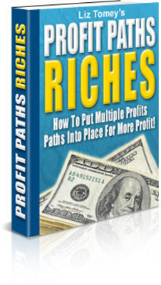 Product picture Profit Paths Riches (PLR)