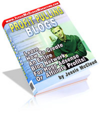 Product picture Profit Pulling Blogs plr
