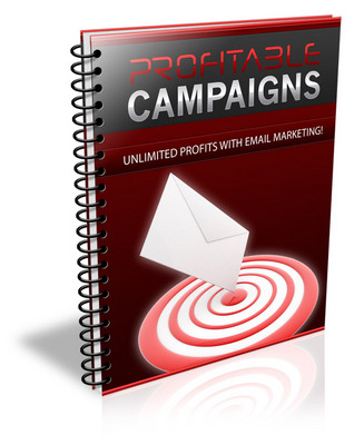Product picture Profitable Campaigns - Viral Report plr