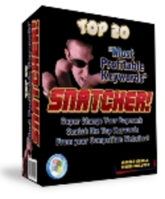 Product picture Profitable Keyword Snatcher plr