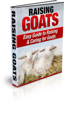 Product picture Raising Goats (PLR)