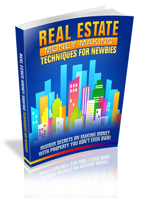 Product picture Real Estate Money Making Techniques for Newbies plr