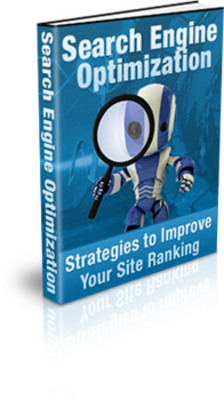 Product picture Search Engine Optimization plr