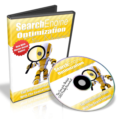 Product picture Search Engine Optimization for Newbies - Video Series plr