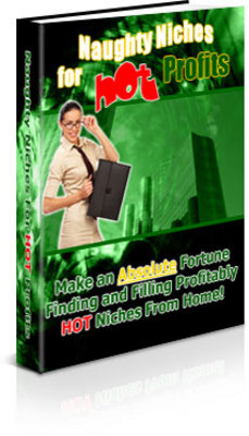 Product picture Naughty Niches for Hot Profits (PLR)