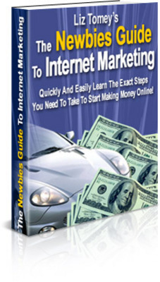 Product picture Newbies Guide to Internet Marketing (PLR)