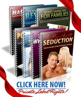 Product picture Niche Domination Reports Package (PLR)