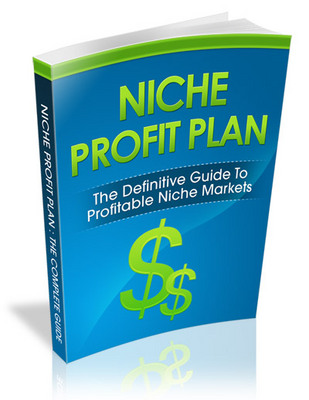Product picture Niche Profit Plan (Viral PLR)
