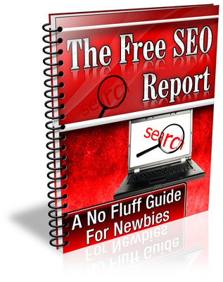 Product picture The Free SEO Report plr