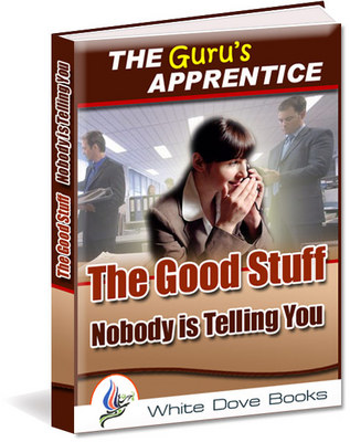 Product picture The Gurus Apprentice plr