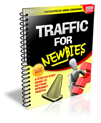 Product picture Traffic for Newbies (PLR) 