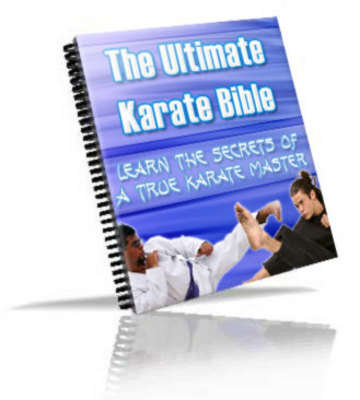 Product picture Ultimate Karate Guide plr