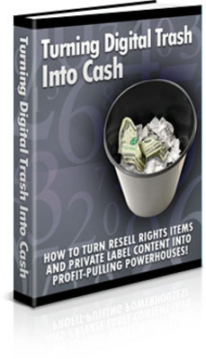 Product picture Turning Digital Trash Into Cash (PLR)