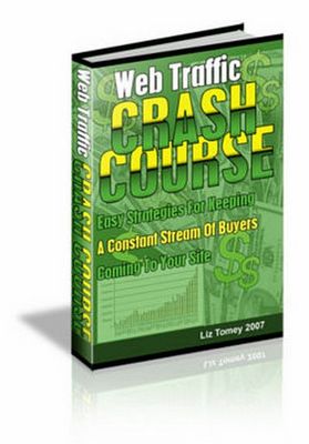Product picture Web Traffic Crash Course