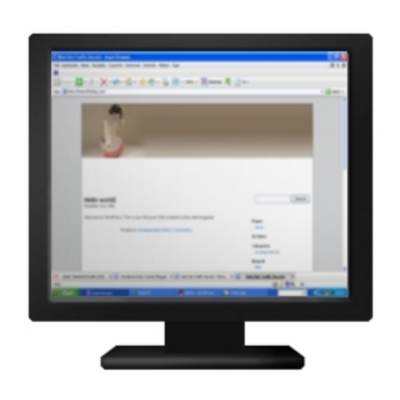 Product picture WordPress AdSense - Femaleееее