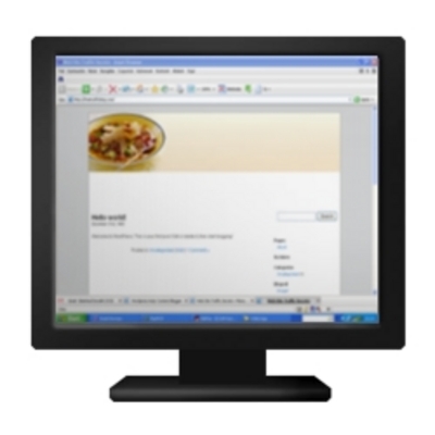 Product picture WordPress AdSense - Food