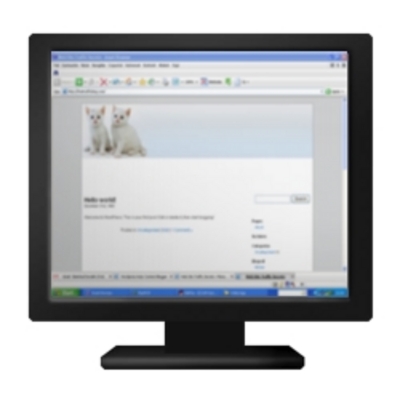 Product picture WordPress AdSense - Kittens