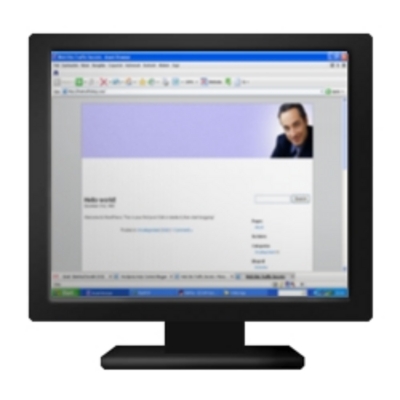 Product picture WordPress AdSense - Maleе