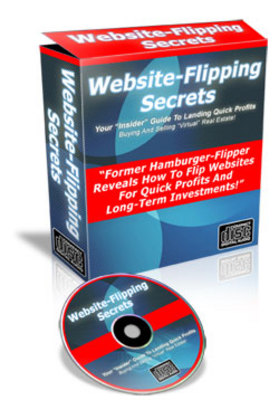 Product picture Website Flipping Secrets - Audio eBook