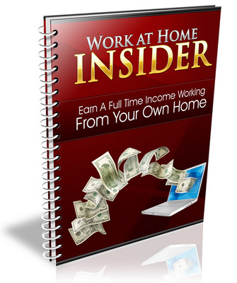 Product picture Work at Home Insider (PLR)