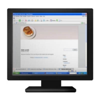 Product picture WordPress AdSense - Bagel