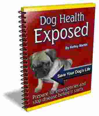 Product picture Dog Health Exposed (PLR) 